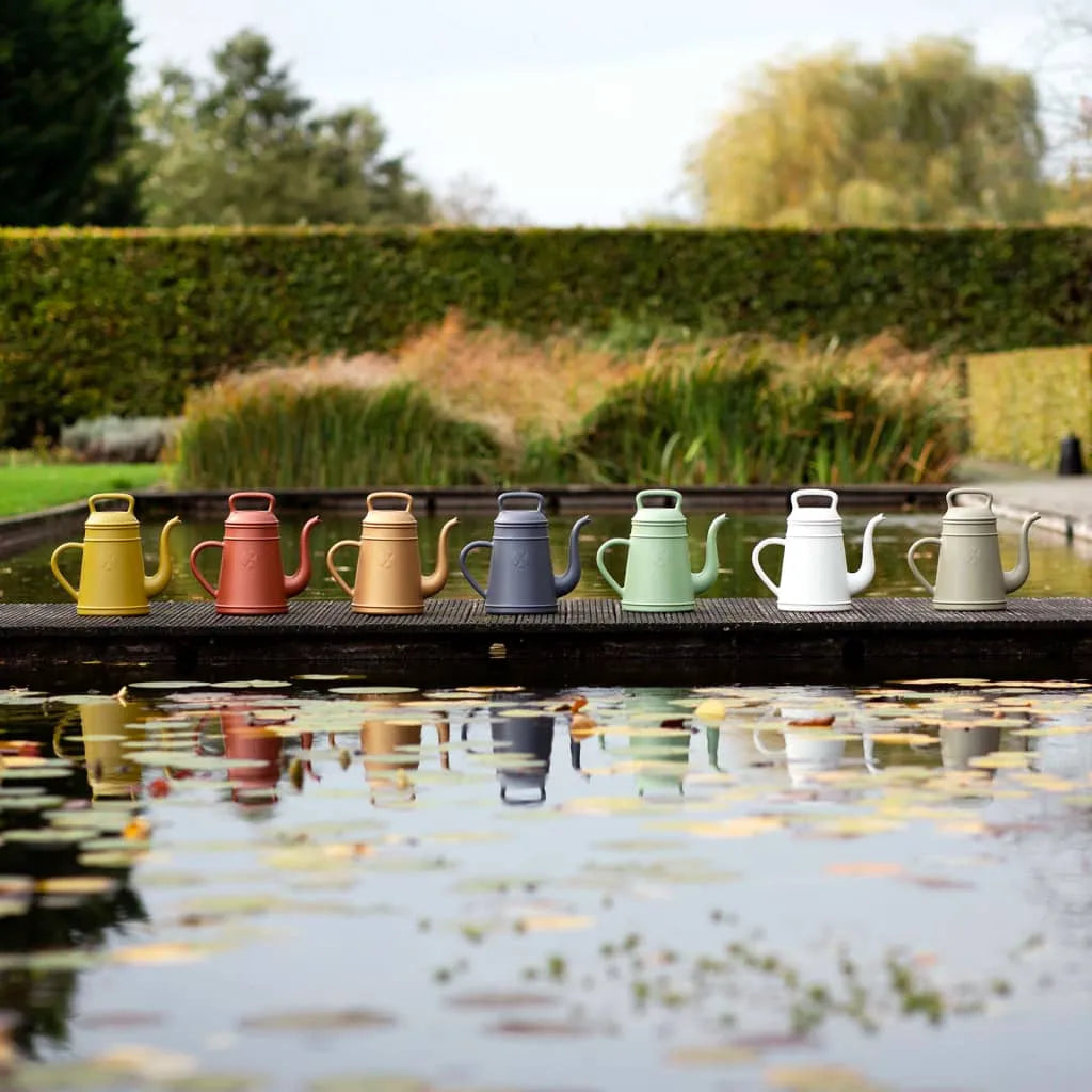 Colorful watering cans lined up by a pond in a landscaped garden