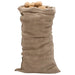 10 Jute Sacks (65 x 135cm) | 100% Jute 220 gsm - Little and Giant Explorers vidaXL