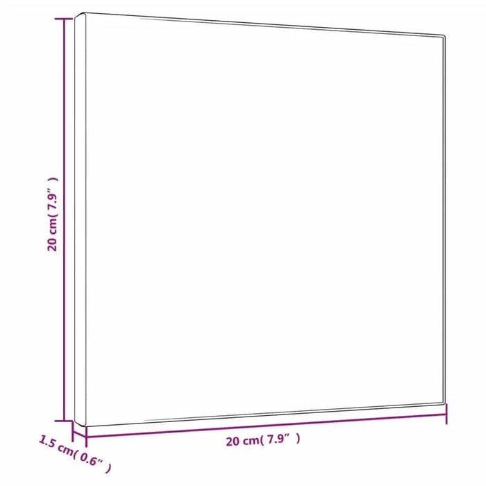 20x20x1.5 cm stretched canvas for painting, white, measurement labeled, professional art supply