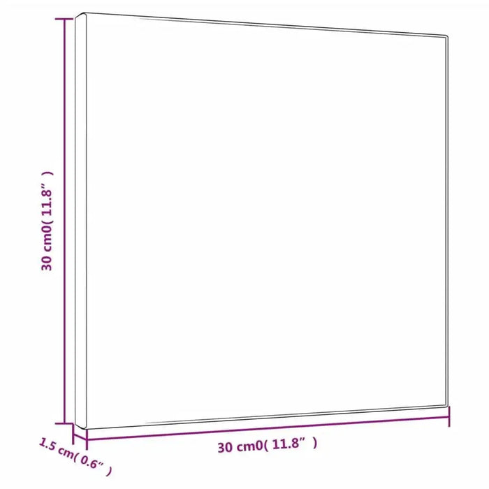 Stretched canvas 30x30x1.5cm professional painting surface with dimensions marked.