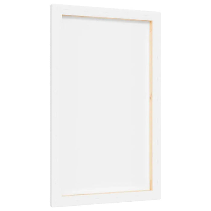 Stretched blank canvas on wooden frame, 50x30cm, ideal for professional painting.