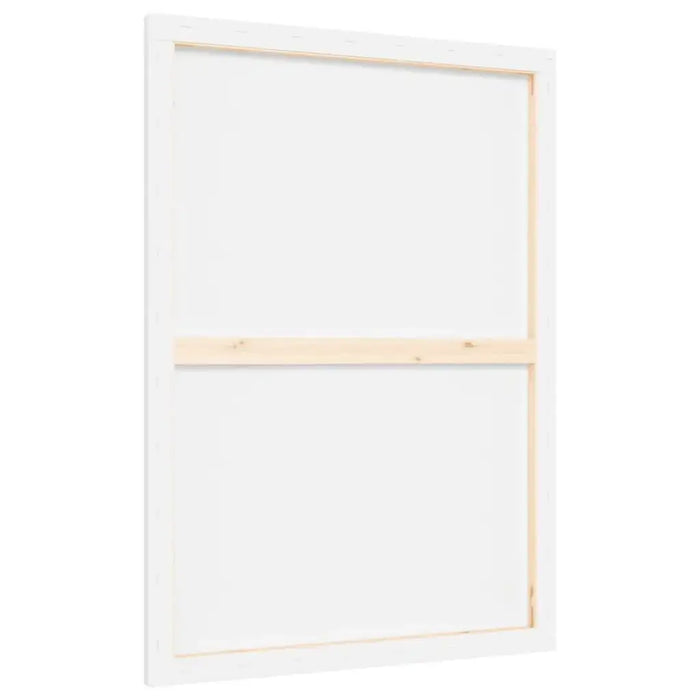 12 Stretched Canvases in White Fabric and Solid Wood Pine (70 x 50 x 1.5cm) - Little and Giant Explorers vidaXL