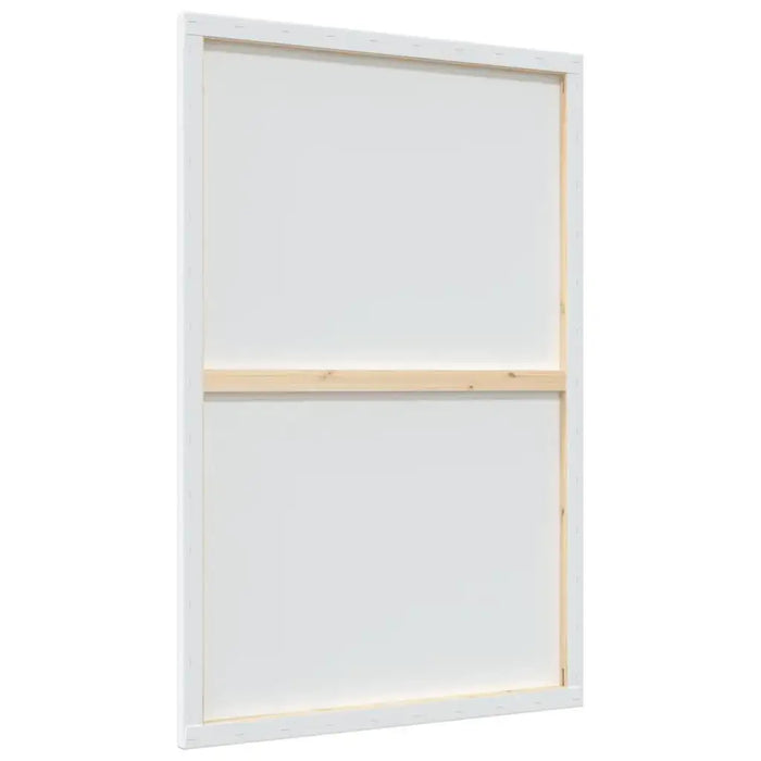 12 Stretched Canvases in White Fabric and Solid Wood Pine (90 x 60 x 1.5cm) - Little and Giant Explorers vidaXL