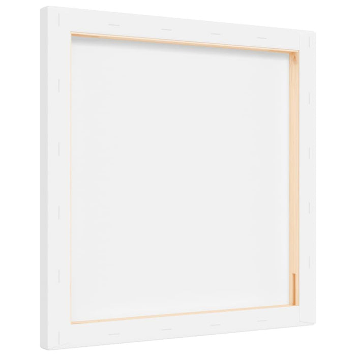 12 Stretched Canvases in White Fabric and Solid Wood Pine (30 x 30 x 1.5cm) - Little and Giant Explorers vidaXL