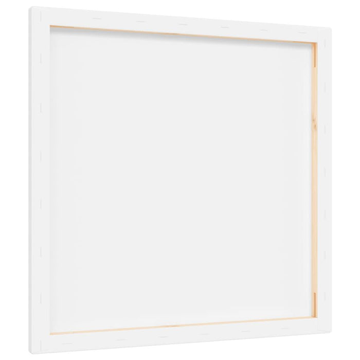 12 Stretched Canvases in White Fabric and Solid Wood Pine (40 x 40 x 1.5cm) - Little and Giant Explorers vidaXL