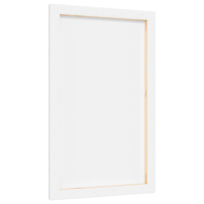 12 Stretched Canvases in White Fabric and Solid Wood Pine (50 x 30 x 1.5cm) - Little and Giant Explorers vidaXL