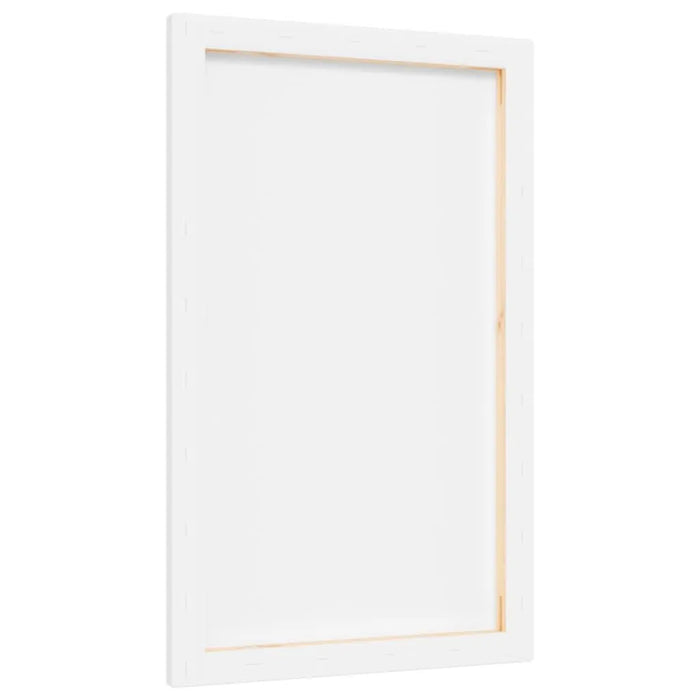 12 Stretched Canvases in White Fabric and Solid Wood Pine (50 x 30 x 1.5cm) - Little and Giant Explorers vidaXL