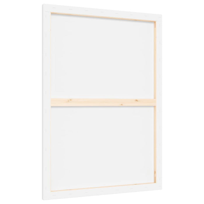 12 Stretched Canvases in White Fabric and Solid Wood Pine (70 x 50 x 1.5cm) - Little and Giant Explorers vidaXL