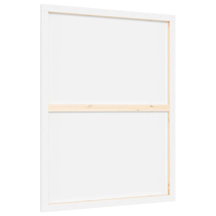 12 Stretched Canvases in White Fabric and Solid Wood Pine (80 x 60 x 1.5cm) - Little and Giant Explorers vidaXL