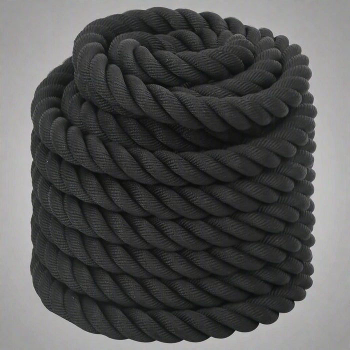 12m Battle Rope in Black 9kg - Little and Giant Explorers vidaXL