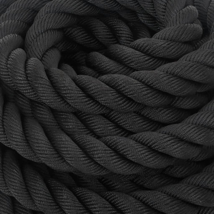 12m Battle Rope in Black 9kg - Little and Giant Explorers vidaXL