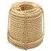 12mm Natural Sisal Rope – 100m | 100% Sisal Fibre - Heavy-Duty Rope for Garden and DIY VIDAXL - Little and Giant Explorers vidaXL