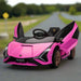 Pink 12V Lamborghini Sian kids ride-on car with open doors on a road