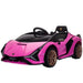 Pink 12V Lamborghini Sian kids ride on car with bronze wheels and black seat