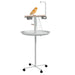 138cm Bird Feeding Table – Mobile Parrot Stand | Perches, Ladder and Toy Hanger PAWHUT - Little and Giant Explorers PawHut