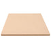 2 - 25mm - MDF Sheets - Square - 60 x 60cm - Little and Giant Explorers vidaXL