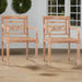 2 Batavia Chairs in White Wash Solid Teak Wood - Little and Giant Explorers vidaXL