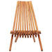 2 Folding Ergonomic Outdoor Lounge Chairs in Solid Acacia Wood - Little and Giant Explorers vidaXL