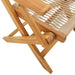 2 Garden Chairs in Beige and Solid Wood Acacia - Little and Giant Explorers vidaXL