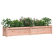 2 Garden Planters in Solid Wood Douglas (180 x 31 x 31cm) - Little and Giant Explorers vidaXL