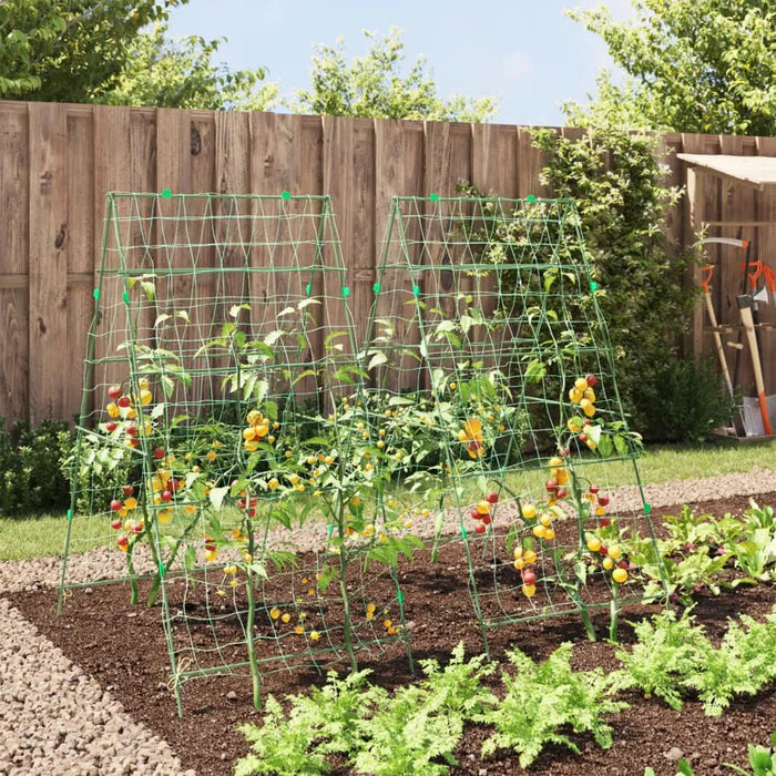 2 Garden Trellises for Climbing Plants in A-Frame and Steel - Little and Giant Explorers vidaXL