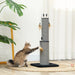 2-in-1 Cat Scratching Post with 3 Toy Feathers in Black 78cm - Little and Giant Explorers PawHut