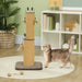 2-in-1 Cat Scratching Post Brown | Dual-Function with 3 Toy Feathers - Little and Giant Explorers PawHut