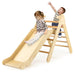 2-in-1 Wooden Climbing Frame with Gradient Adjustable Slide - Little and Giant Explorers Costway