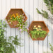 Hexagonal corten steel wall planters with vibrant orange and yellow flowers on white outdoor panel wall