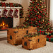 2 Storage Chest Set in Rough Mango Wood - Little and Giant Explorers vidaXL
