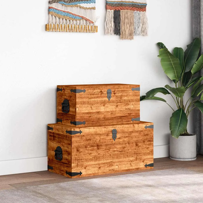 2-Piece Wooden Storage Chest Set – Handmade Trunks | Solid Mango Wood - Rustic Finish VIDAXL - Little and Giant Explorers vidaXL