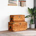2-Piece Wooden Storage Chest Set – Handmade Trunks | Solid Mango Wood - Rustic Finish VIDAXL - Little and Giant Explorers vidaXL