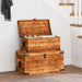 2-Piece Wooden Storage Chest Set – Handmade Trunks | Solid Mango Wood - Rustic Finish VIDAXL - Little and Giant Explorers vidaXL