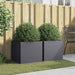 2 Planters in Anthracite (49 x 47 x 46cm) - Little and Giant Explorers vidaXL