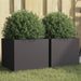 2 Planters in Black (32 x 30 x 29cm) - Little and Giant Explorers vidaXL