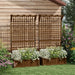 2 Raised Beds with Drainage Holes and Trellis - Little and Giant Explorers Outsunny