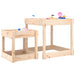 2 Sand Tables in Solid Wood Pine - Little and Giant Explorers vidaXL