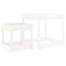 2 Sand Tables in White and Solid Wood Pine - Little and Giant Explorers vidaXL