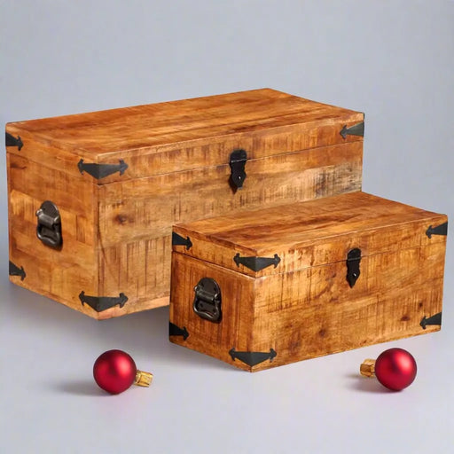 2 Storage Chest Set in Rough Mango Wood - Little and Giant Explorers vidaXL