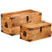 2 Storage Chest Set in Rough Mango Wood - Little and Giant Explorers vidaXL