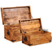 2 Storage Chest Set in Rough Mango Wood - Little and Giant Explorers vidaXL