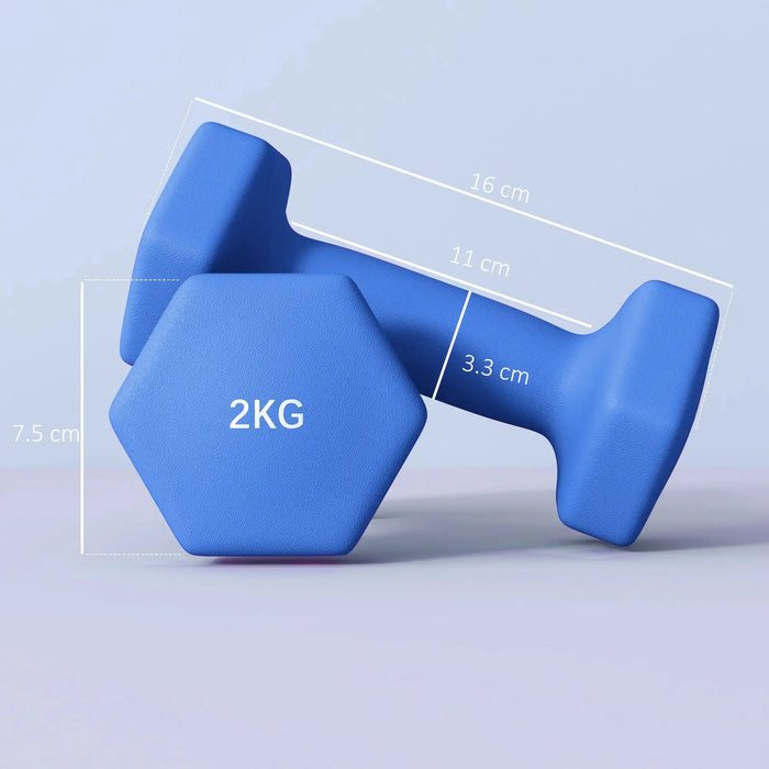 2 x 2kg Hexagonal Dumbbells Weights Set in Blue - Little and Giant Explorers SPORTNOW