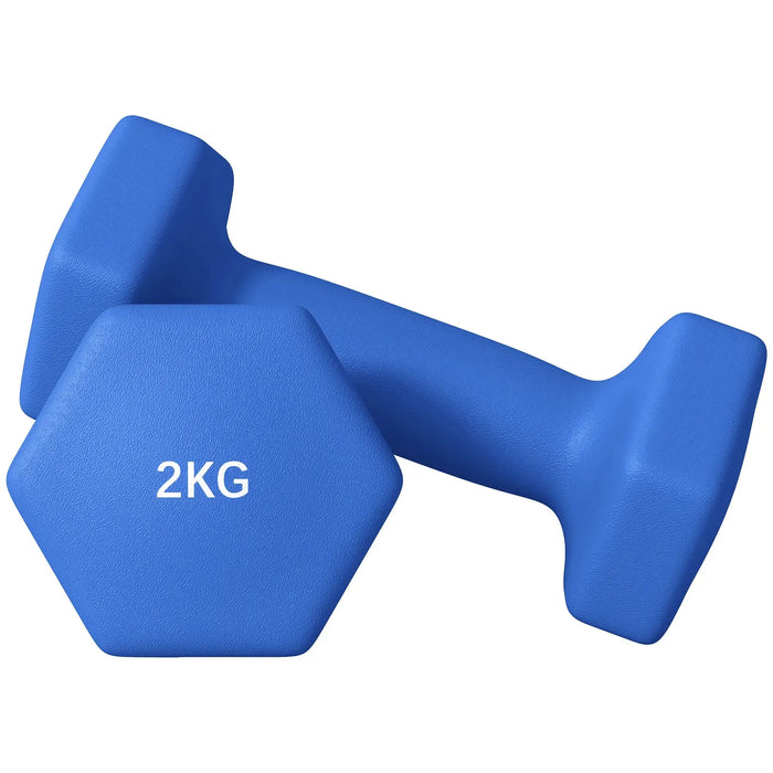 2 x 2kg Hexagonal Dumbbells Weights Set in Blue - Little and Giant Explorers SPORTNOW