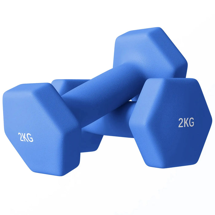 2 x 2kg Hexagonal Dumbbells Weights Set in Blue - Little and Giant Explorers SPORTNOW