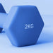 2 x 2kg Hexagonal Dumbbells Weights Set in Blue - Little and Giant Explorers SPORTNOW