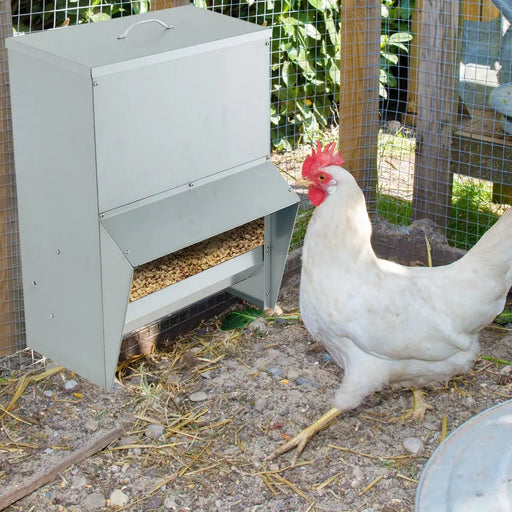 22kg Large Capacity Chicken Feeder | Galvanised Metal Poultry Feeder with Lid COSTWAY - Little and Giant Explorers Costway