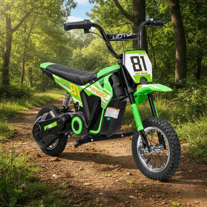 24V Kids Electric Dirt Bike – Green | 250W Motor, Three Speed Settings and Suspension AIYAPLAY - Little and Giant Explorers AIYAPLAY