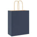 250 Paper Bags with Handles in Blue (18 x 8 x 22cm) - Little and Giant Explorers vidaXL