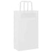 250 Paper Bags with Handles in White (21 x 11 x 36cm) - Little and Giant Explorers vidaXL