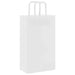 250 Paper Bags with Handles in White (21 x 11 x 36cm) - Little and Giant Explorers vidaXL